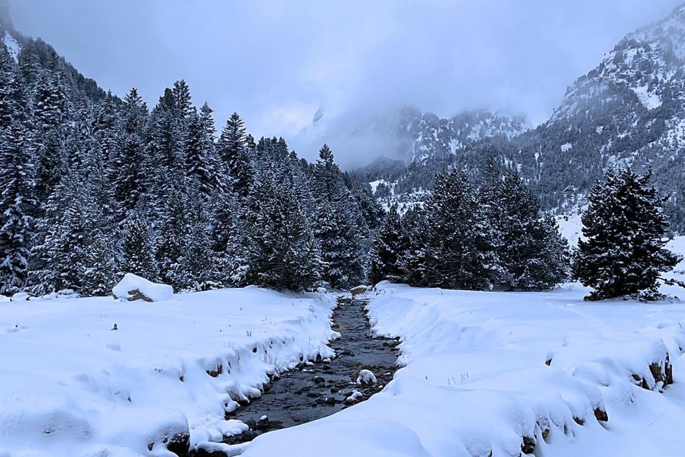 Nieve 7 de diciembre