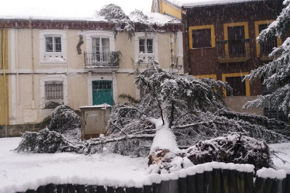 Nieve 7 de diciembre