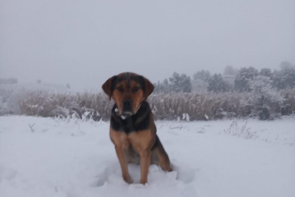 La tormenta Filomena llega a la provincia de Huesca