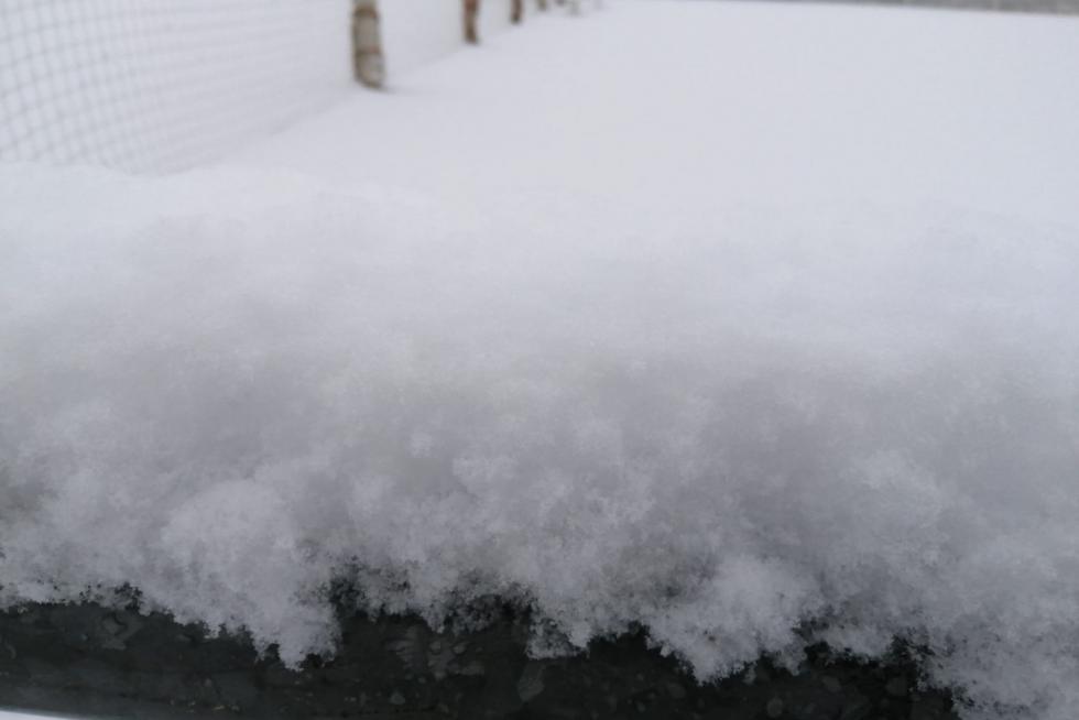 La tormenta Filomena llega a la provincia de Huesca