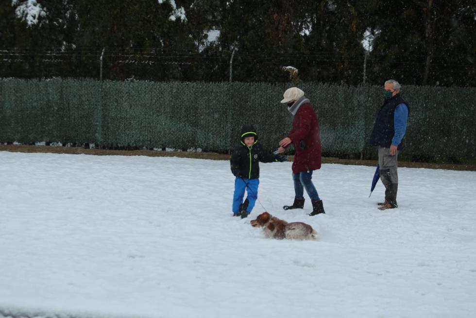 Segunda jornada con nieve por la presencia de Filomena en la provincia de Huesca