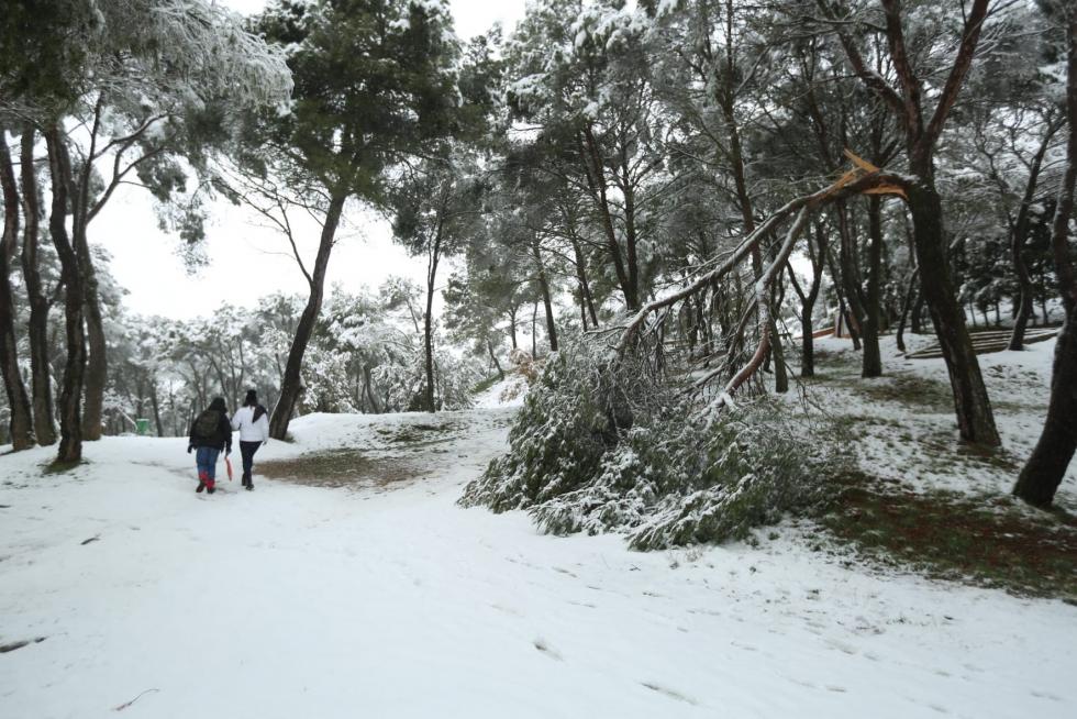 Segunda jornada con nieve por la presencia de Filomena en la provincia de Huesca