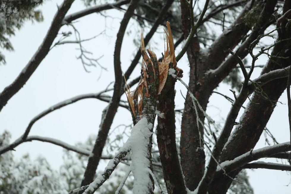 Segunda jornada con nieve por la presencia de Filomena en la provincia de Huesca