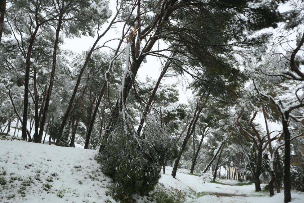 Segunda jornada con nieve por la presencia de Filomena en la provincia de Huesca