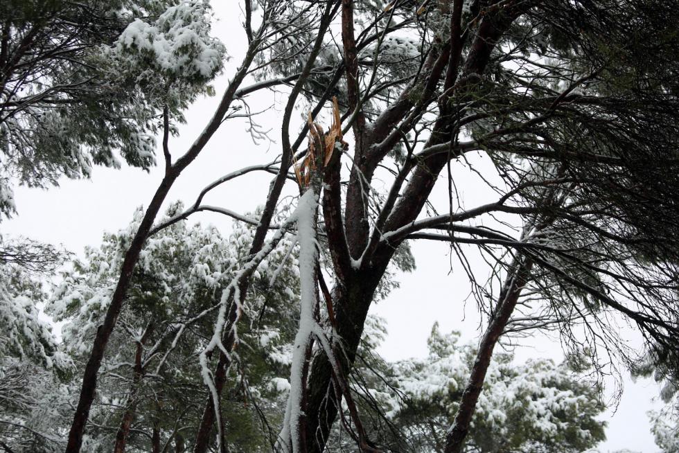 Segunda jornada con nieve por la presencia de Filomena en la provincia de Huesca