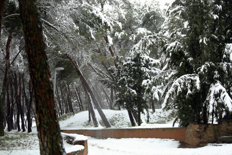 Segunda jornada con nieve por la presencia de Filomena en la provincia de Huesca