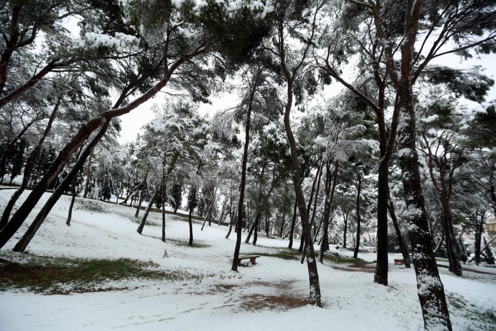 Segunda jornada con nieve por la presencia de Filomena en la provincia de Huesca