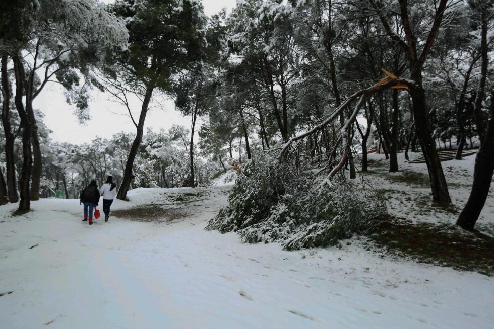 Segunda jornada con nieve por la presencia de Filomena en la provincia de Huesca