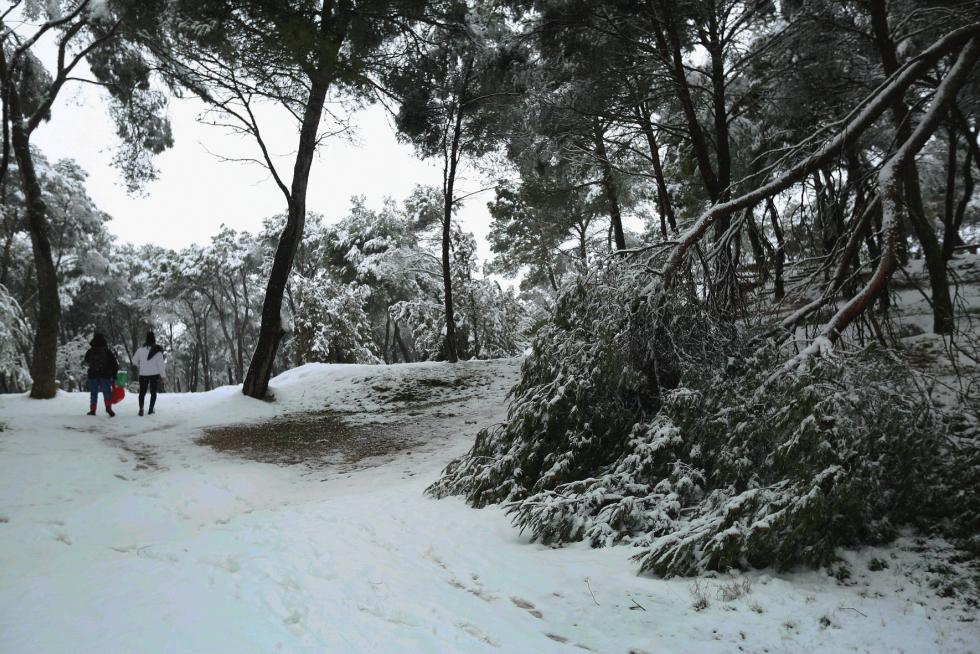 Segunda jornada con nieve por la presencia de Filomena en la provincia de Huesca