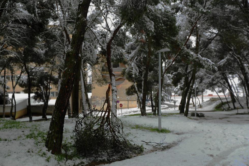Segunda jornada con nieve por la presencia de Filomena en la provincia de Huesca