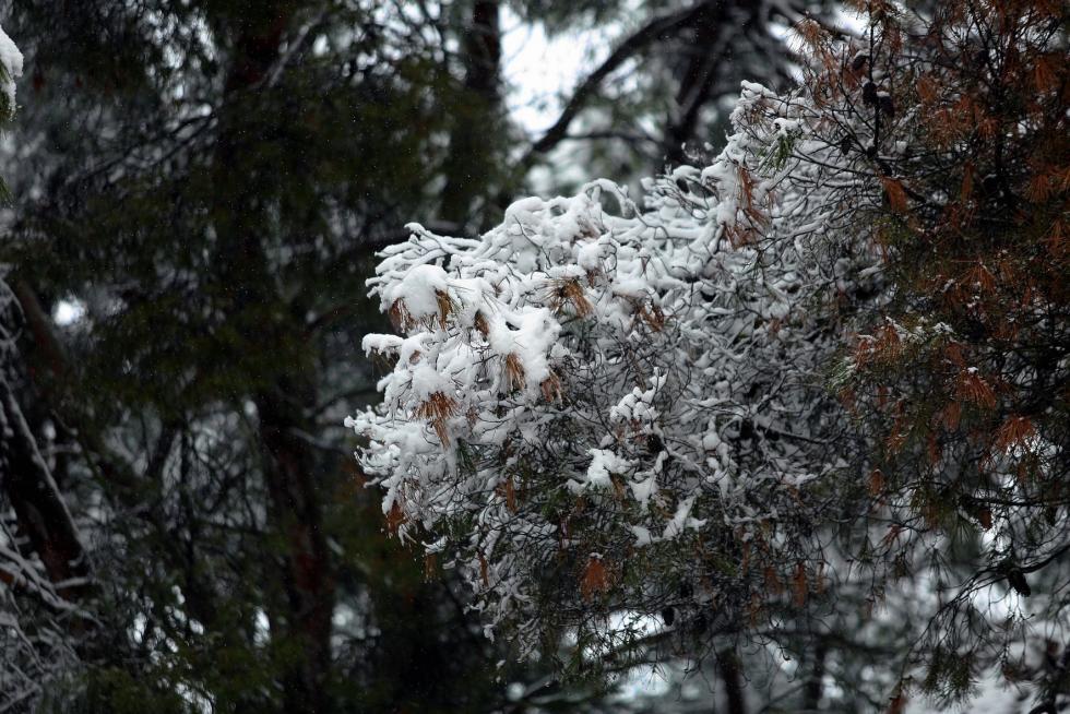 Segunda jornada con nieve por la presencia de Filomena en la provincia de Huesca