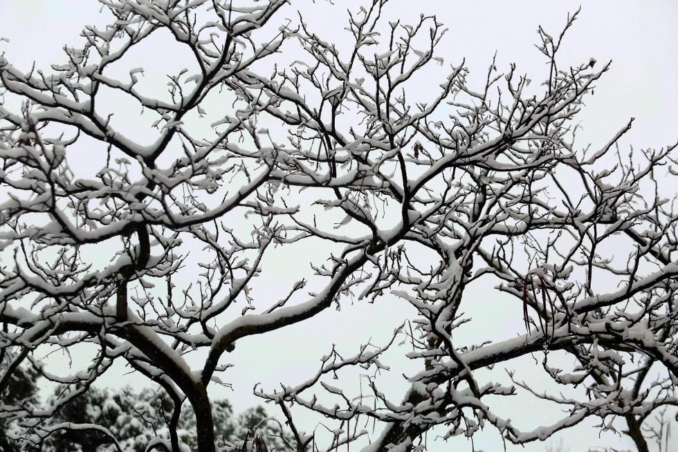 Segunda jornada con nieve por la presencia de Filomena en la provincia de Huesca