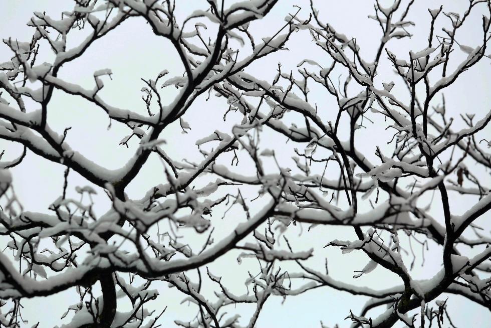 Segunda jornada con nieve por la presencia de Filomena en la provincia de Huesca