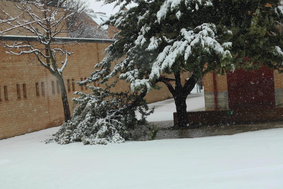 Segunda jornada con nieve por la presencia de Filomena en la provincia de Huesca