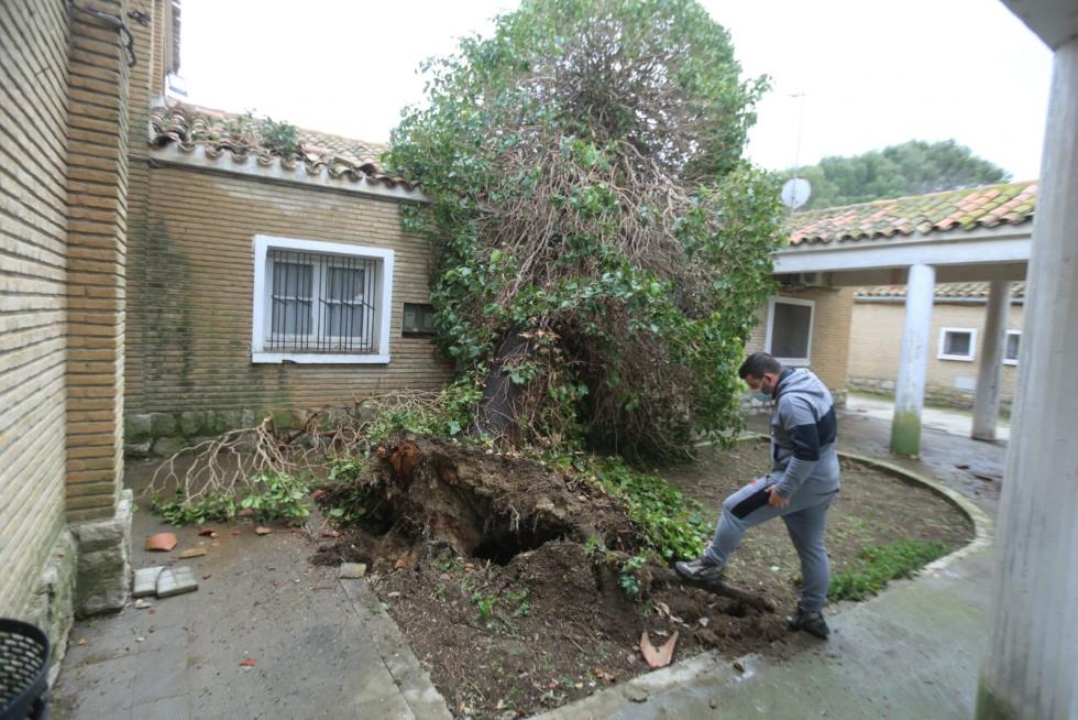 Efectos de la tormenta en el Alto Aragón