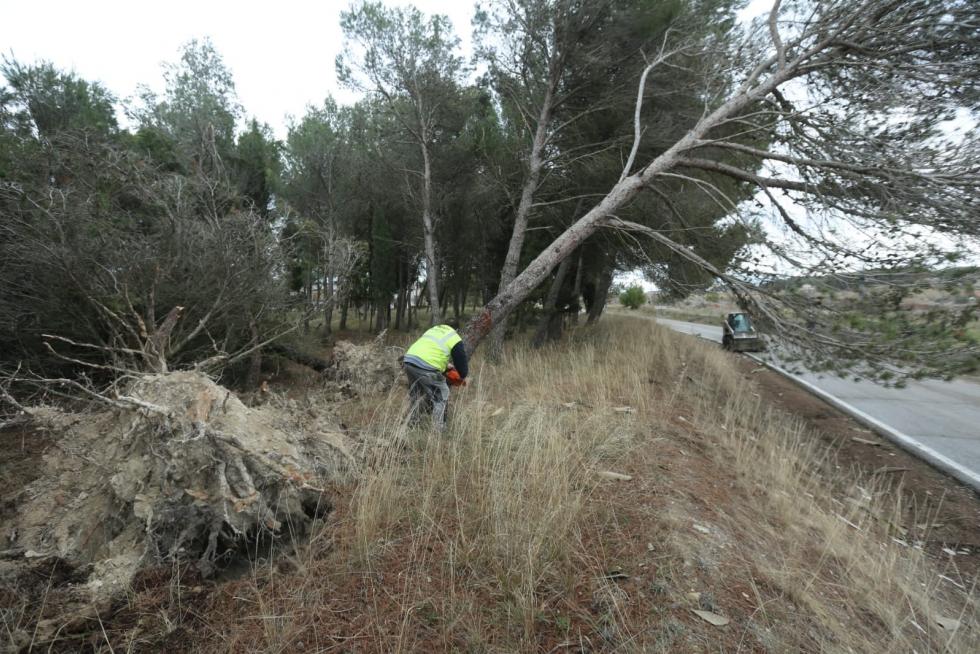 Efectos de la tormenta en el Alto Aragón