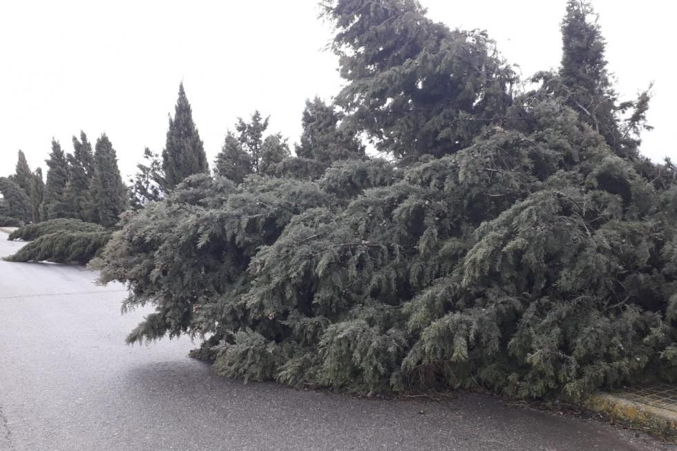Efectos de la tormenta en el Alto Aragón