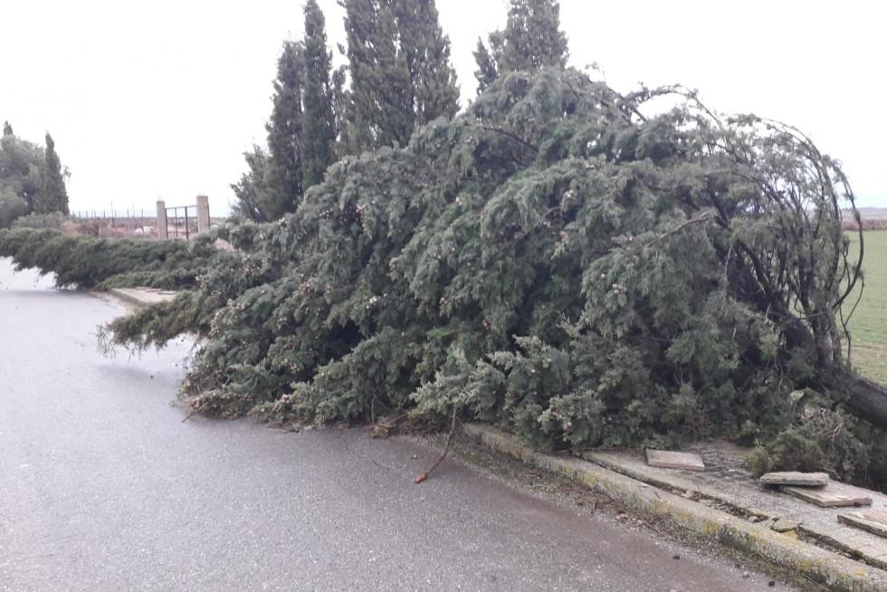 Efectos de la tormenta en el Alto Aragón