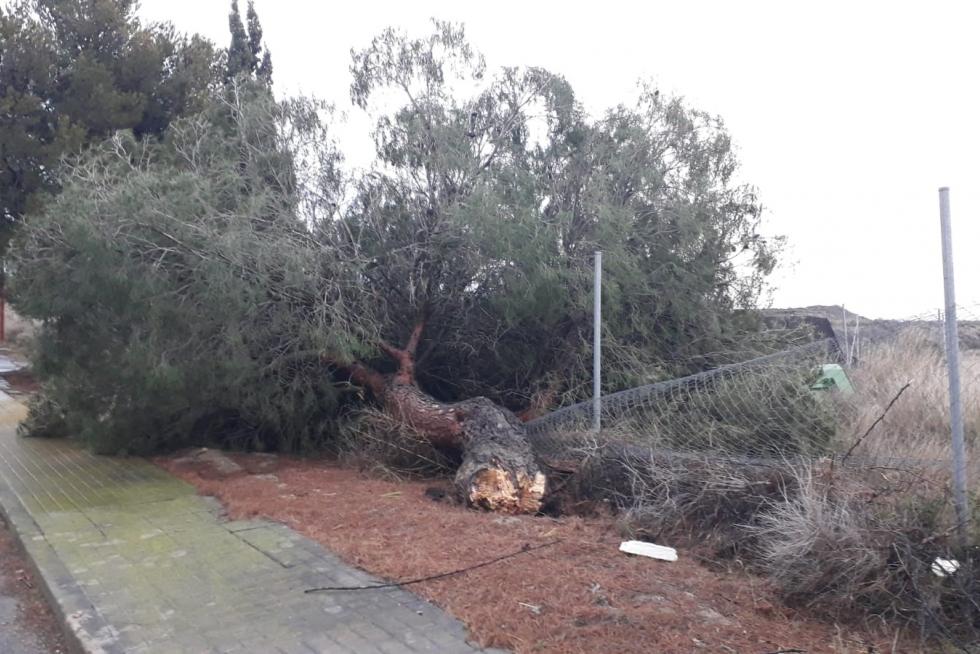Efectos de la tormenta en el Alto Aragón
