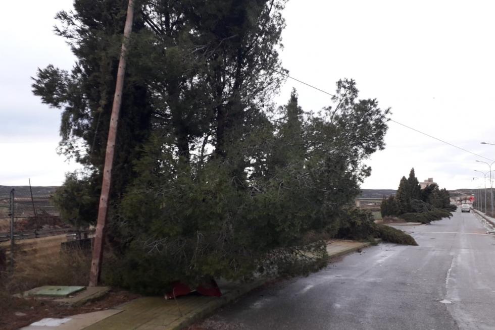 Efectos de la tormenta en el Alto Aragón