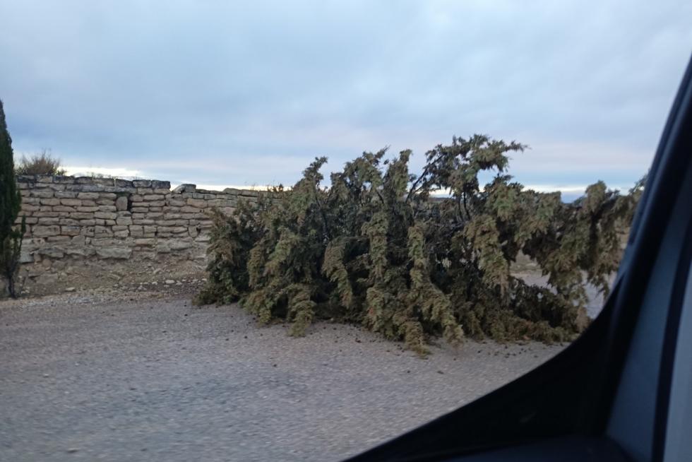 Efectos de la tormenta en el Alto Aragón