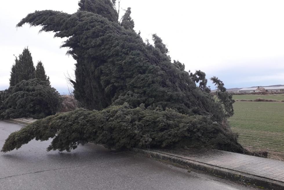 Efectos de la tormenta en el Alto Aragón
