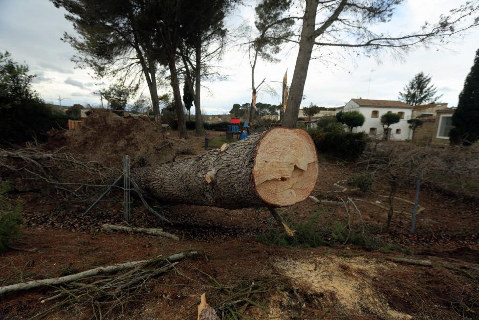 Efectos de la tormenta en el Alto Aragón