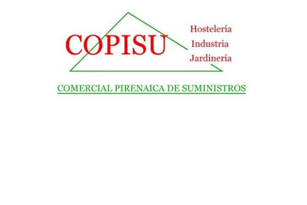 Copisu