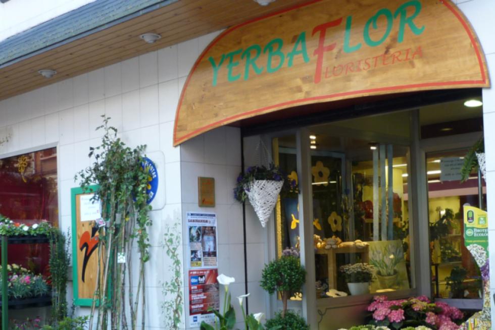 Yerbaflor