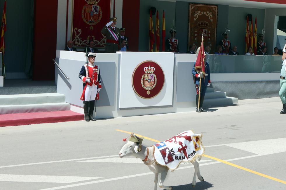 Las distintas unidades han marcado el paso por la avenida de Juan XXIII de Huesca.