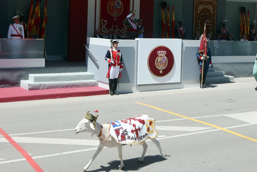 Las distintas unidades han marcado el paso por la avenida de Juan XXIII de Huesca.