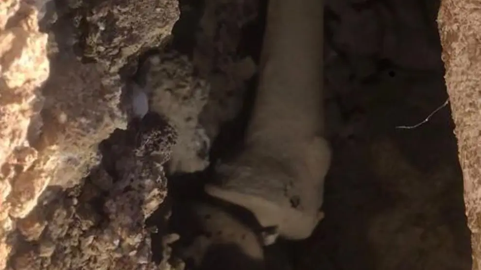 Resto óseo hallado en lo que se entiende es una necrópolis medieval.