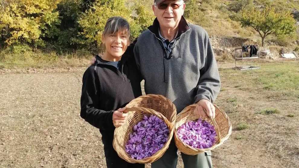 Maripau Huguet junto a Daniel Grau, quien recuperó el cultivo del azafrán en la zona.