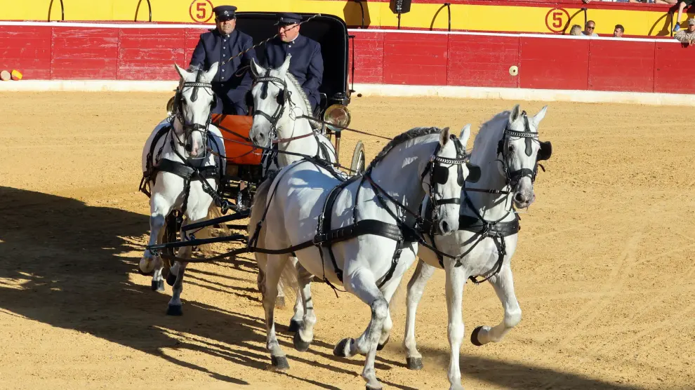 Los caballos que pisaron ayer el ruedo fueron de raza española y de raza hispanoárabe.