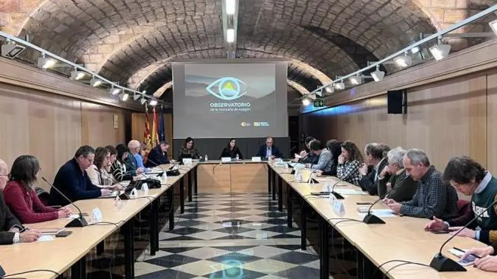 Participantes en el pleno del Observatorio de Montaña de Aragón, celebrado ayer.