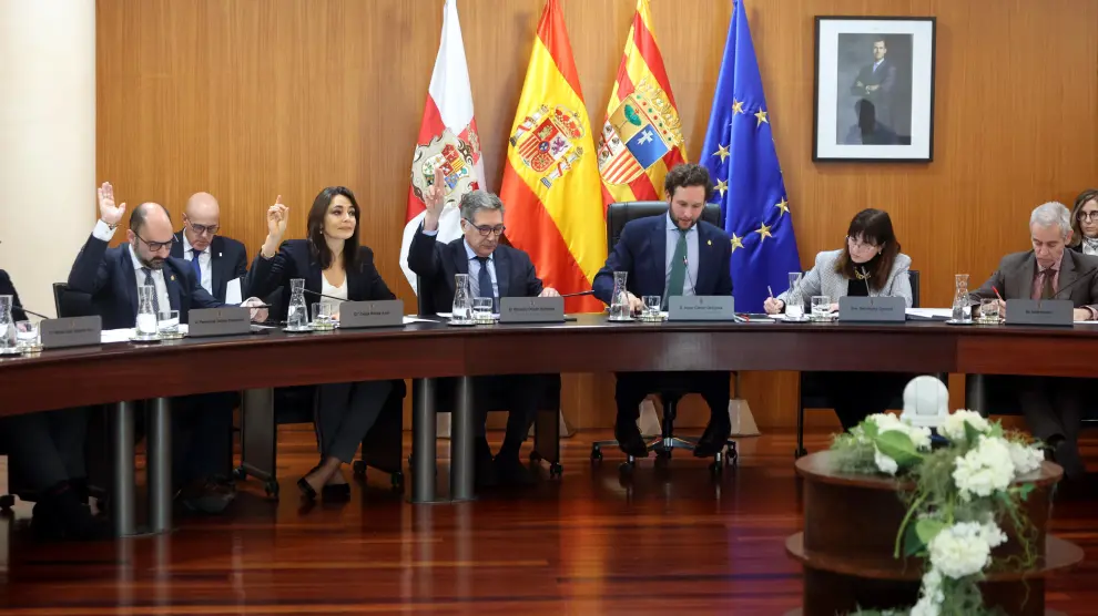 Imagen del pleno celebrado este viernes en la Diputación Provincial de Huesca.