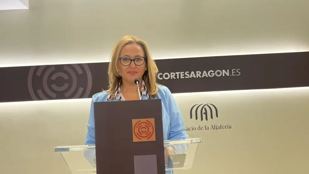 Mayte Pérez, portavoz del Grupo Socialista en las Cortes.