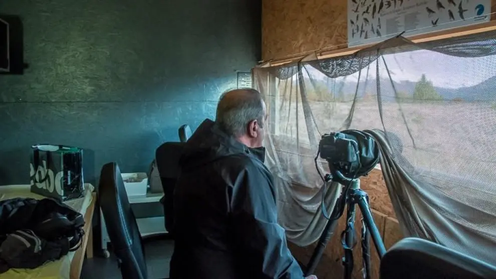 Observación y retrato de aves en Bonansa.