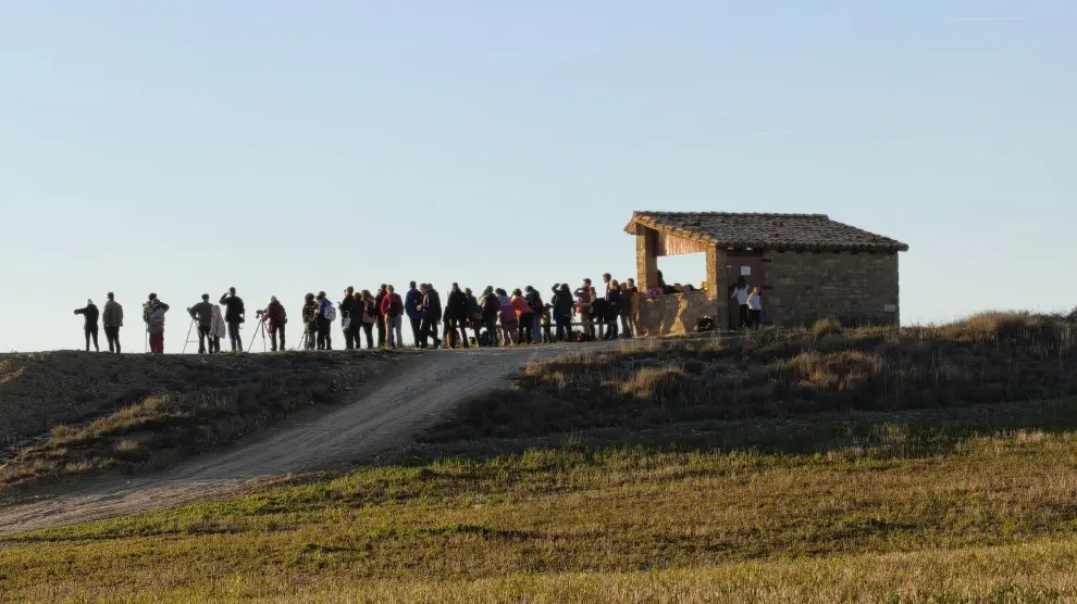 Observación de grullas en la tarde de este sábado en la zona de la Alberca de Alboré.