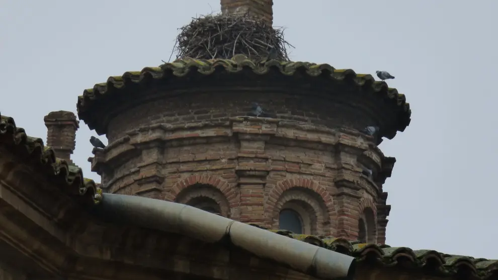 Eliminados cinco nidos de cigüeña de la catedral de Barbastro
