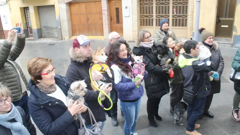 Monzón reedita la festividad de San Antón con la bendición de una veintena de perros