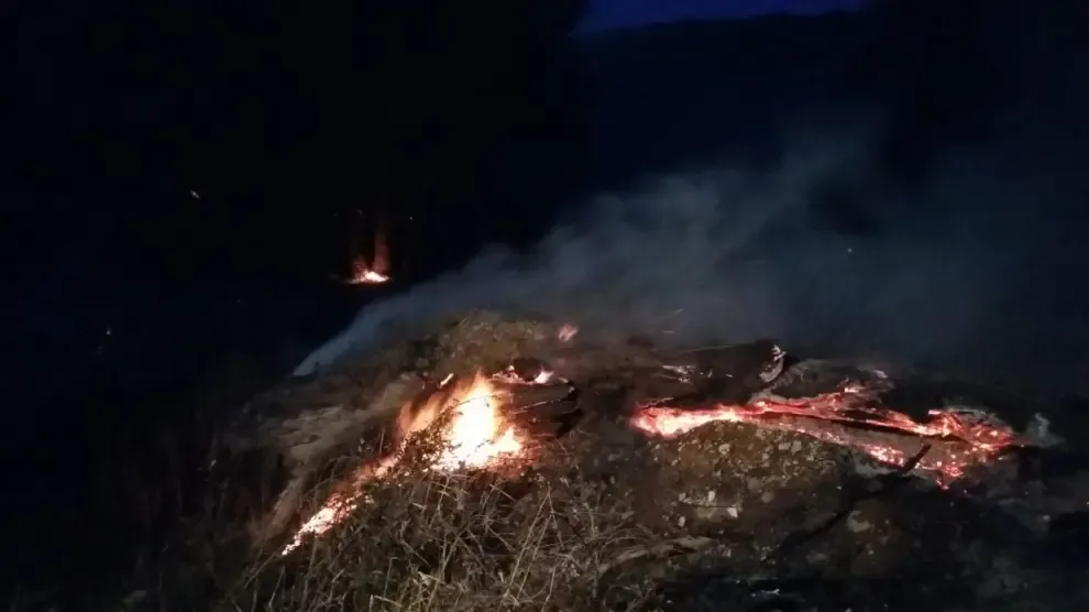Un incendio calcina tres hectáreas de pinar y monte bajo en la Laguna de Sariñena