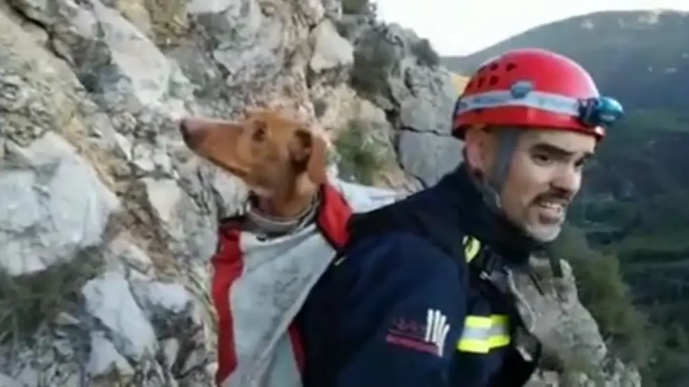Los bomberos rescatan a un perro de caza enriscado en Estopiñán