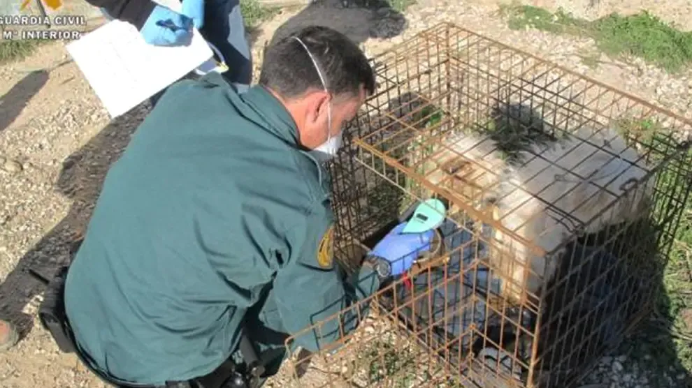 Hallados cinco perros muertos en un criadero de una finca de Zaragoza
