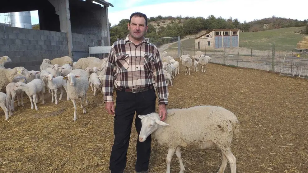Francisco Santolaria, ganadero de Molino de Villobas: "Sin ganadería extensiva, perderemos gente, pastos y el turismo irá detrás"