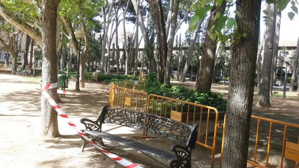Medio Ambiente intervendrá de nuevo en el pinar del parque Miguel Servet de Huesca