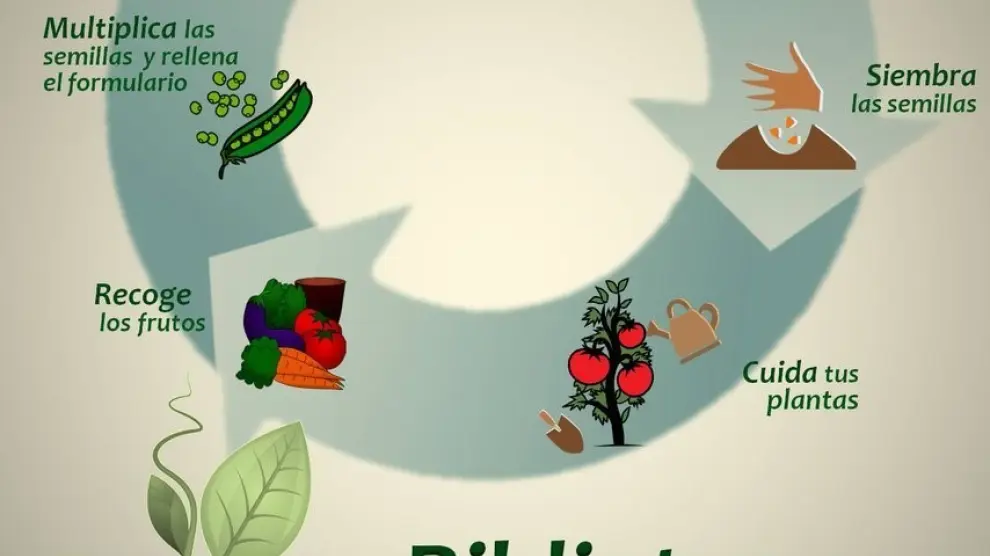 La biblioteca de semillas, un proyecto que conjuga innovación y horticultura