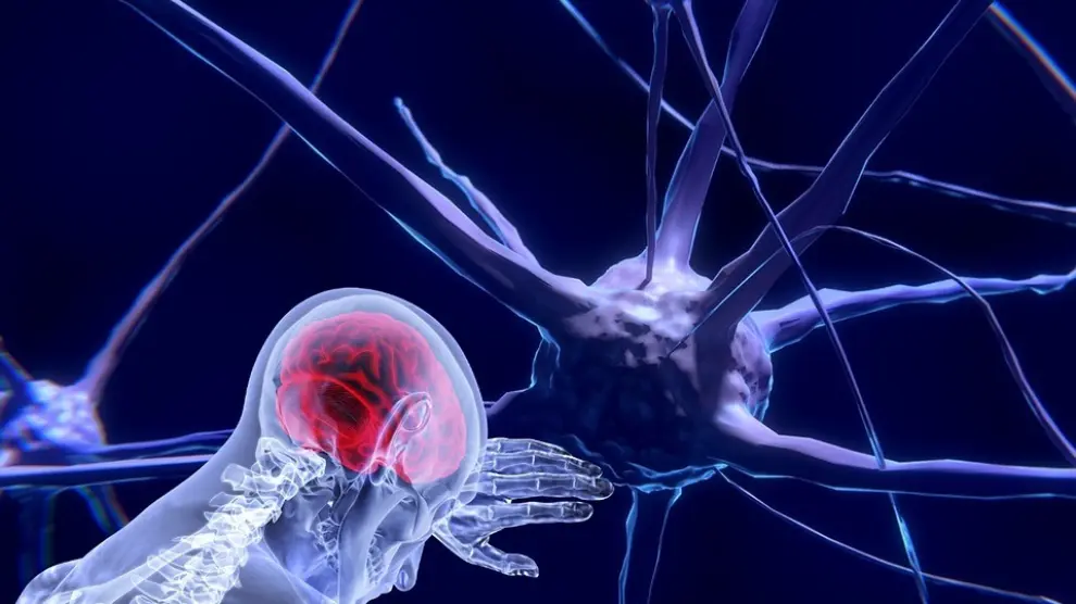 Detectan cambios cerebrales relacionados con el alzhéimer hasta 30 años antes de que aparezcan los síntomas
