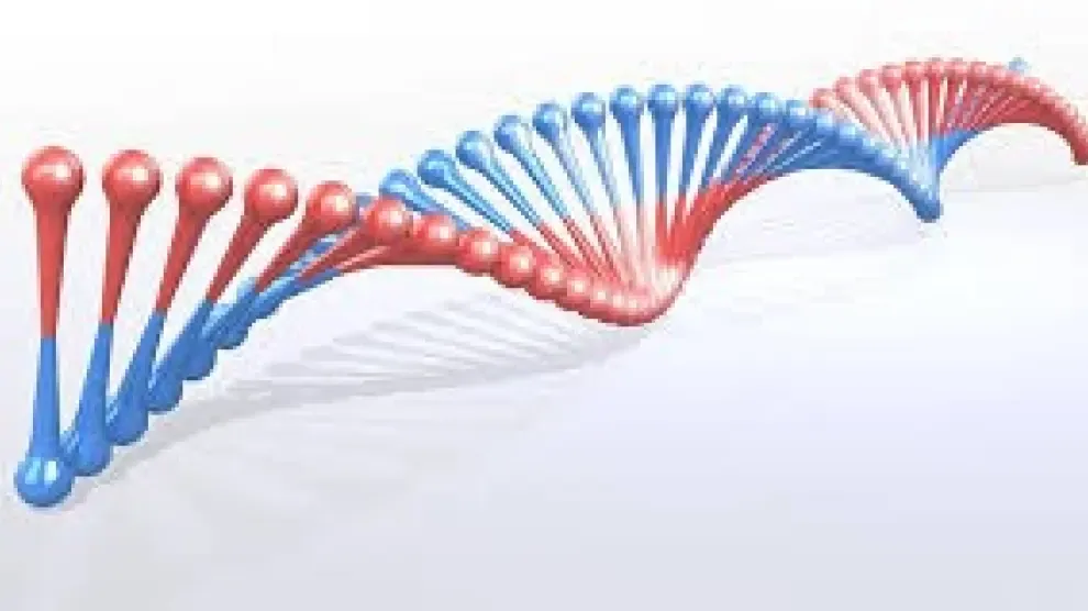 El ADN de los MIR envejece seis veces más rápido de lo normal en el primer año de residencia