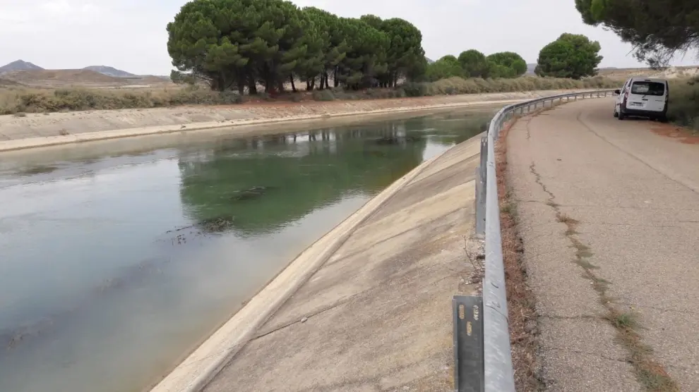Adjudicados los proyectos de mantenimiento y conservación de los Canales del Cinca y Monegros